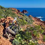 Village Cap Esterel Classe 4 Etoiles Le Jardin Sur La Piscines - Apartman
