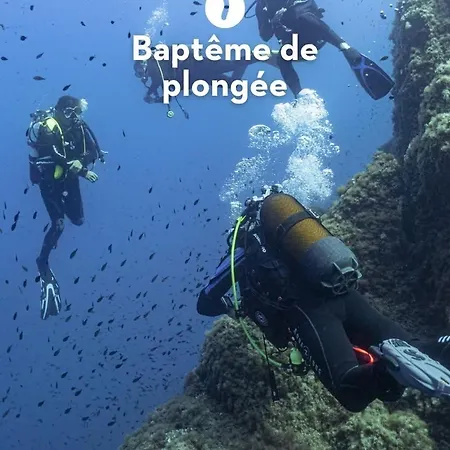 Superbe T2 Club Cap Esterel Animations Petits Et Grands Sports&activites Multisports Saint-Raphael (Var)