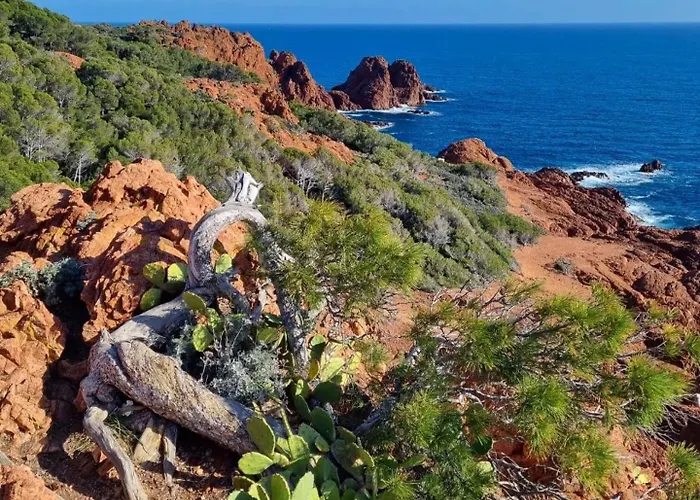 Pierre&vacances Cap Esterel Centre Fh -vue - Jardin Clos Et Terrasse- Piscines- Parking - Climatisation - Vue Apartment